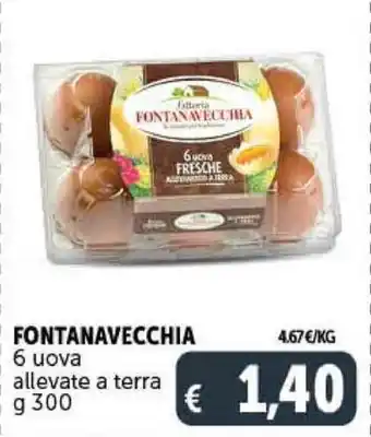 Deco Supermercati FONTANAVECCHIA 6 uova allevate a terra g 300 offerta