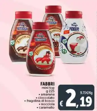 Deco Supermercati FABBRI mini top 225 g offerta