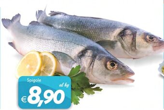 Iper Super Conveniente Spigole offerta