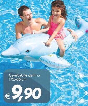 Cavalcabile delfino 175x66 cm