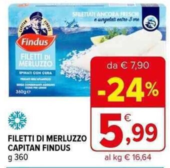 Iperal FILETTI DI MERLUZZO CAPITAN FINDUS g 360 offerta