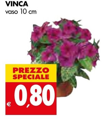 Tigros VINCA vaso 10 cm offerta