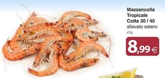 Docks Cash&Carry Mazzancolla Tropicale Cotta 30 / 40 offerta