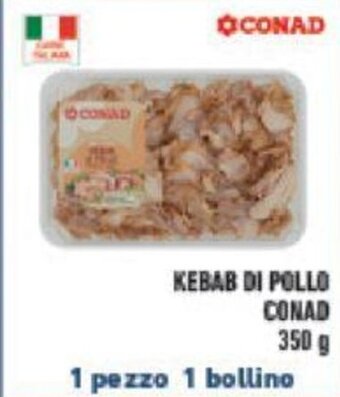 Conad KEBAB DI POLLO CONAD 350 g offerta