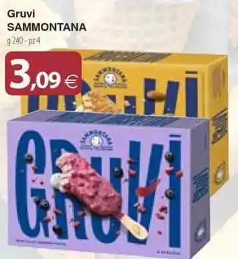 Gruvi SAMMONTANA g 240-pz 4