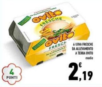 Conad 6 UOVA FRESCHE DA ALLEVAMENTO A TERRA OVITO offerta