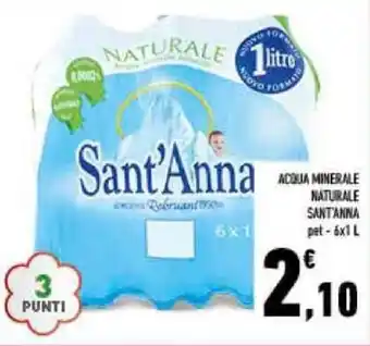 Conad ACQUA MINERALE NATURALE SANT'ANNA pet - 6x1 L offerta