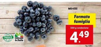 Lidl Mirtilli 500 g confezione offerta