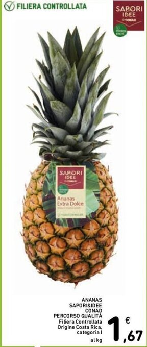 Conad ANANAS SAPORI&IDEE CONAD PERCORSO QUALITÀ offerta