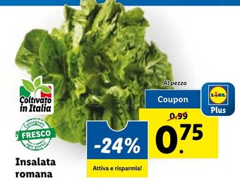 Lidl Insalata romana offerta