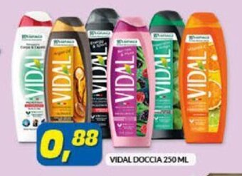 Risparmio Casa VIDAL DOCCIA 250 ML offerta