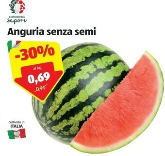 ALDI I Colori Del Sapore Anguria Senza Semi offerta