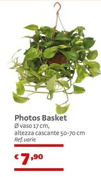 Photos Basket