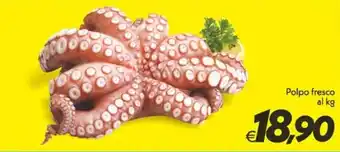 Iper Super Conveniente Polpo fresco offerta