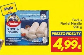 Iper Super Conveniente Findus Fiori di Nasello 250 g offerta