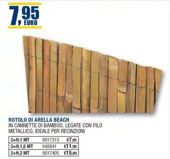 ROTOLO DI ARELLA BEACH