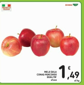 Conad Mele Gala offerta