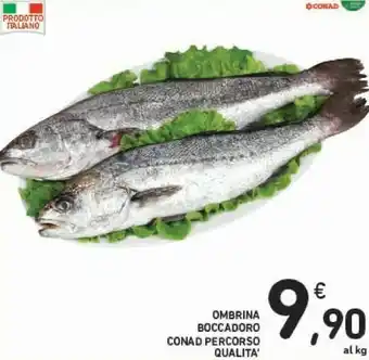 Conad Conad Ombrina Boccadoro Percorso Qualita offerta