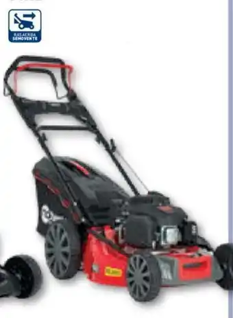 Bricofer RASAERBA NEWTON CAVALIER offerta