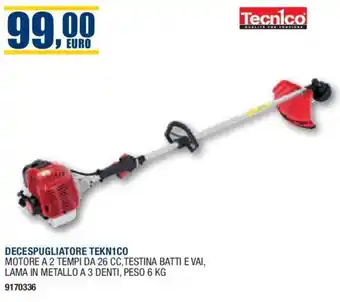 Bricofer Tecnico DECESPUGLIATORE TEKN1CO offerta