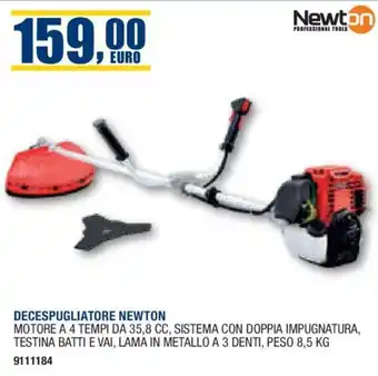 Bricofer DECESPUGLIATORE NEWTON offerta