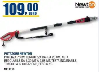 Bricofer TAGLIASIEPI NEWTON offerta