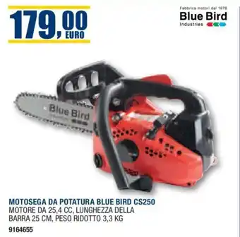 MOTOSEGA DA POTATURA BLUE BIRD CS250