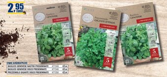 Bricofer ERBE AROMATICHE offerta
