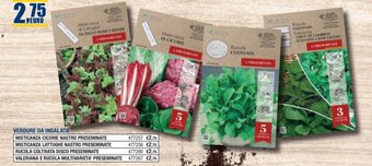 Bricofer VERDURE DA INSALATA offerta
