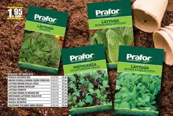 Bricofer VERDURE DA INSALATA RUCOLA COLTIVATA BIO offerta