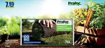 Bricofer TERRICCIO PRAFOR PER TAPPETI ERBOSI, CONF. 70 LT offerta