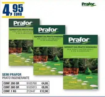 Bricofer SEMI PRAFOR PRATO RIGENERANTE CONF. 200 GR offerta