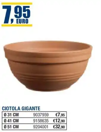 CIOTOLA GIGANTE 31 CM