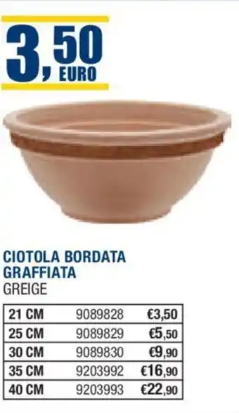 CIOTOLA BORDATA GRAFFIATA