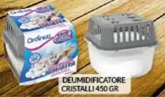 Risparmio Casa DEUMIDIFICATORE CRISTALLI 450 GR offerta