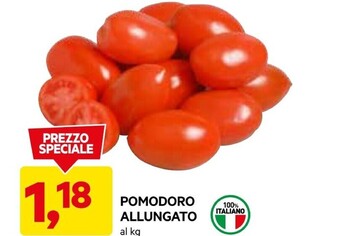 DPiù Pomodoro allungato offerta
