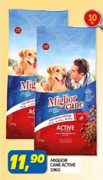 Risparmio Casa MIGLIOR CANE ACTIVE 10KG offerta