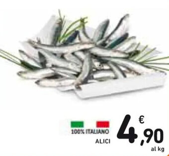 Spazio Conad ALICI offerta