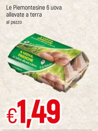 Famila Le Piemontesine 6 uova allevate a terra offerta