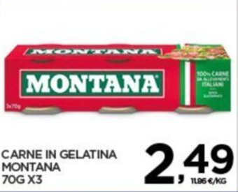 Interspar CARNE IN GELATINA MONTANA 70G X3 offerta