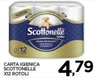 Interspar CARTA IGIENICA SCOTTONELLE X12 ROTOLI offerta