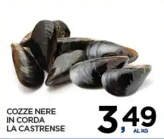 COZZE NERE IN CORDA LA CASTRENSE