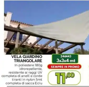 VELA GIARDINO TRIANGOLARE In poliestere 180g 3x3x4 mt