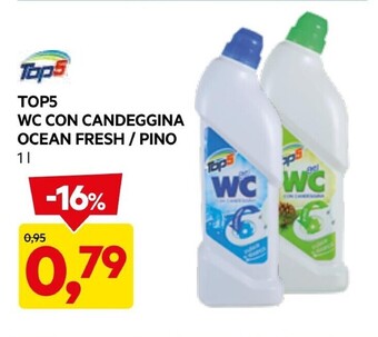 DPiù Top5 wc con candeggina ocean fresh/pino offerta
