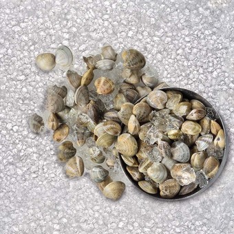Sapore di Mare Vongole dell'adriatico con guscio offerta