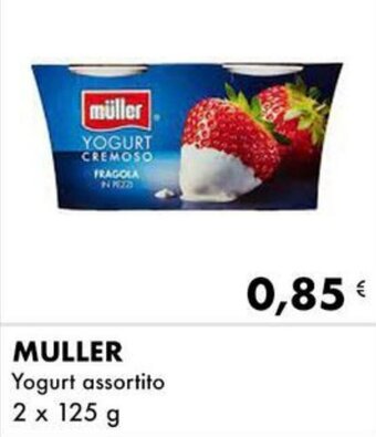 Iper Tosano MULLER Yogurt assortito 2 x 125 g offerta