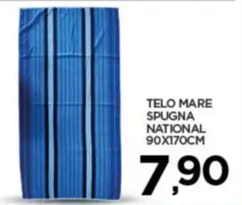 Interspar TELO MARE SPUGNA NATIONAL 90X170CM offerta