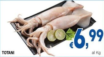 DEM TOTANI offerta
