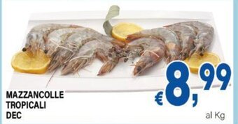 DEM MAZZANCOLLE TROPICALI DEC offerta