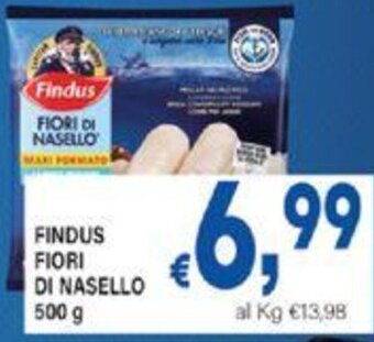 DEM Findus FIORI DI NASELLO 500 g offerta